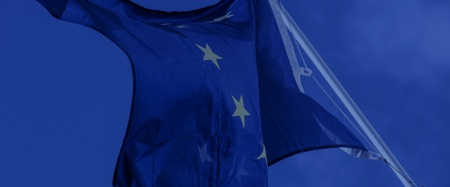 Section Hero Background